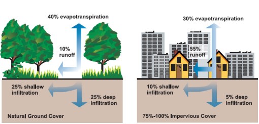 Natural_&_impervious_cover_diagrams_EPA